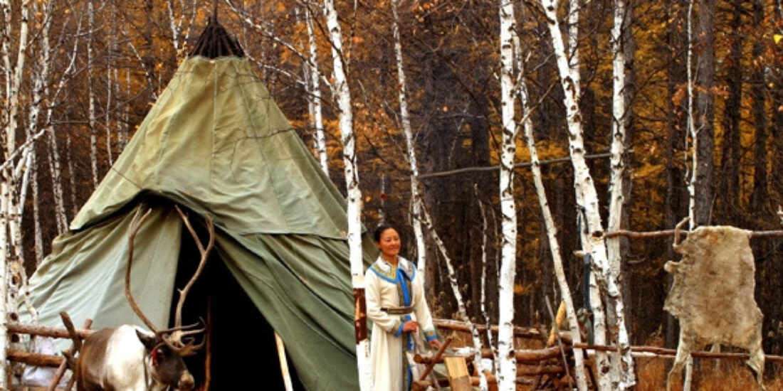 The Last Reindeer Herders Tribe in China