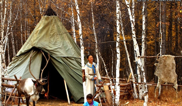 The Last Reindeer Herders Tribe in China